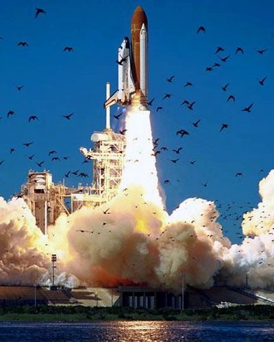 Photo:  The Challenger Shuttle Disaster
